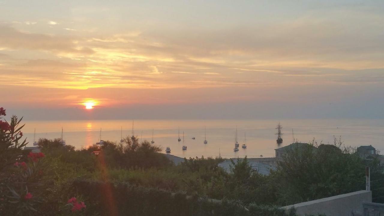 Porteo - Les Terrasses Du Port Centuri Eksteriør billede
